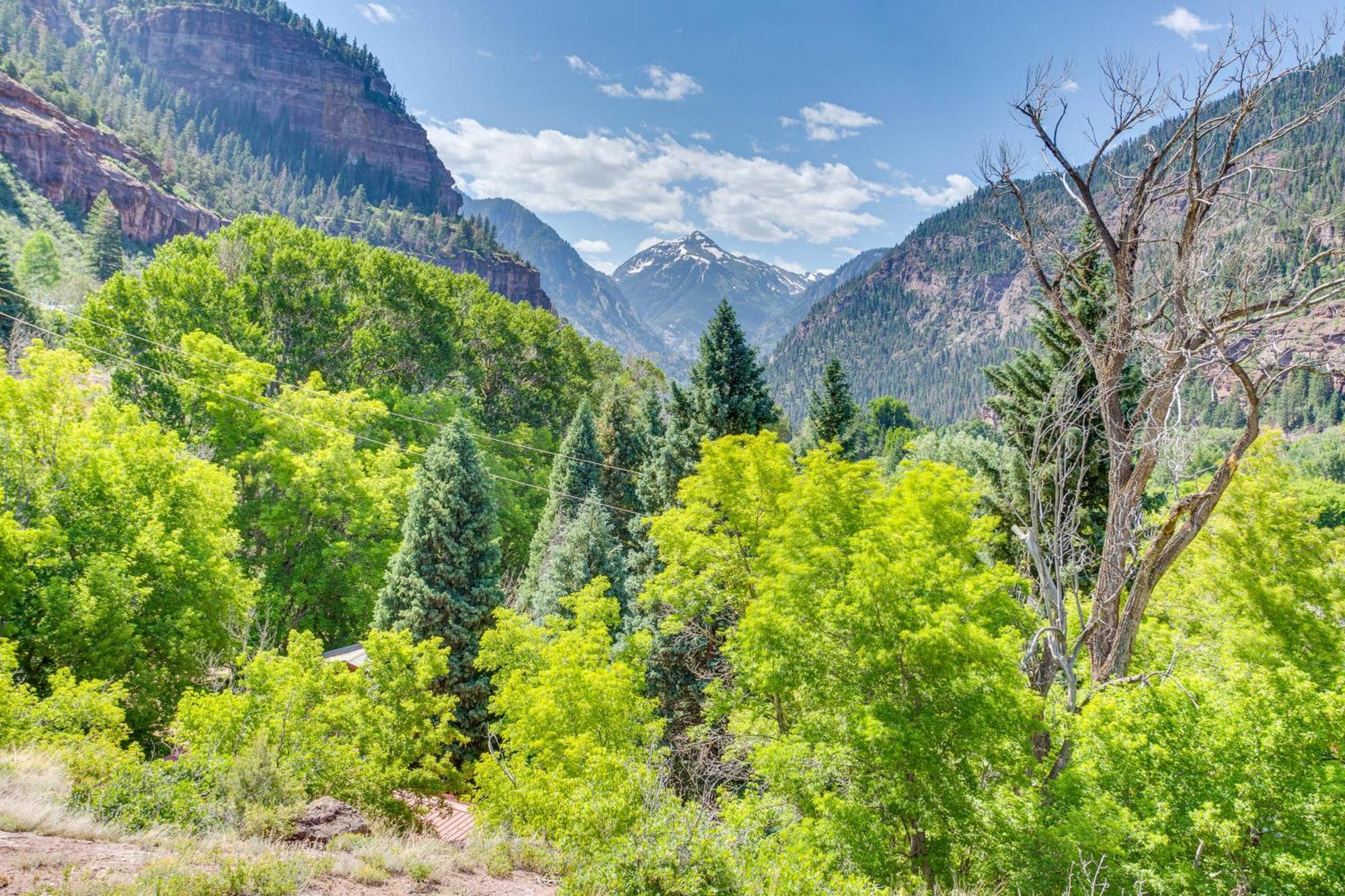 Beautiful Ouray Home With Patio - 3 Mi To Downtown! Buitenkant foto